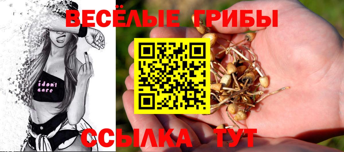 Псилоцибиновые грибы Magic Shrooms Знаменск
