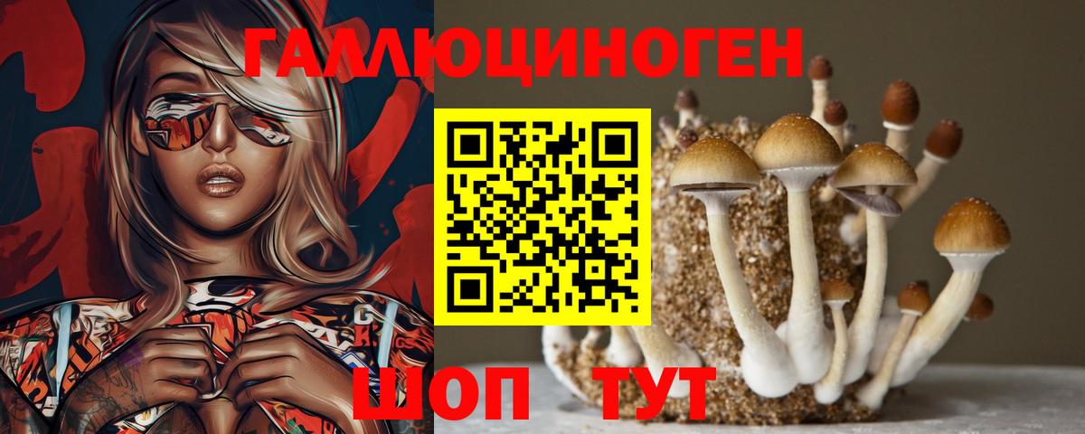 Галлюциногенные грибы MAGIC MUSHROOMS  Вход с VPN  Знаменск  Галлюциногенные грибы Psilocybine cubensis 